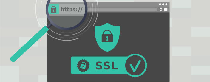 Rodzaje certyfikatów SSL. Jaki typ certyfikatu wybrać?