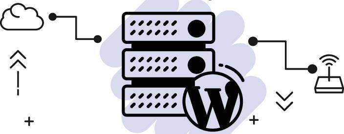 Instalacja Wordpressa w sześć minut